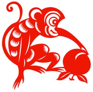 monkey5
